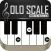 Solo Scale Controller